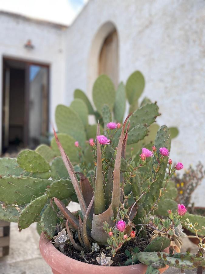 Casa Trieste Alberobello Dış mekan fotoğraf